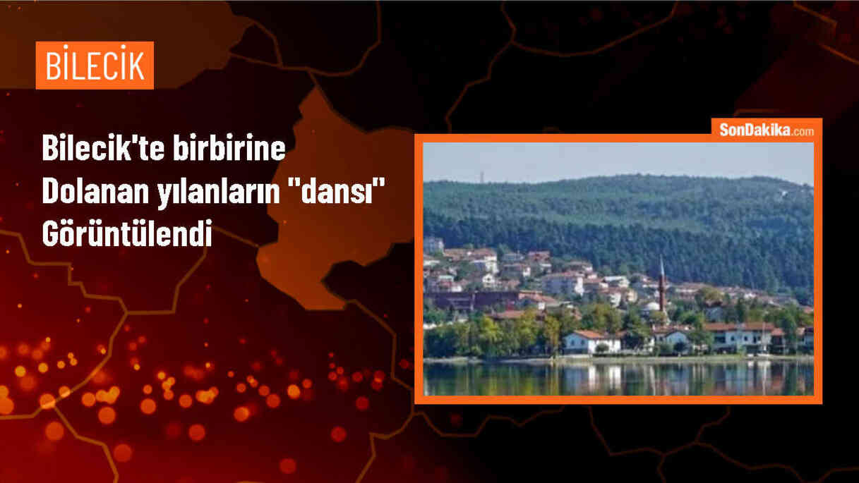 Bilecik\'te İki Yılanın Dansı