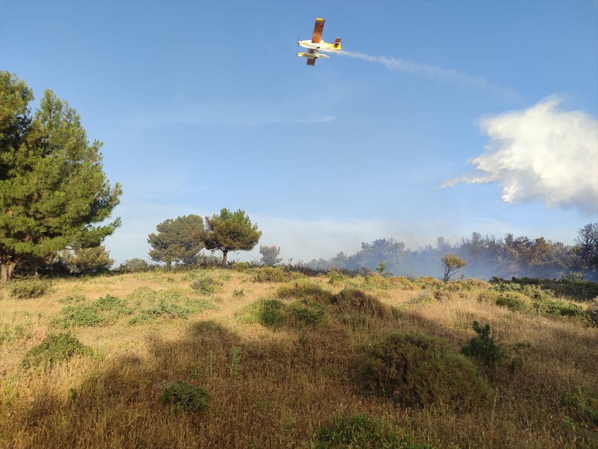 Çanakkale\'nin Bayramiç ilçesinde orman yangını kontrol altına alındı