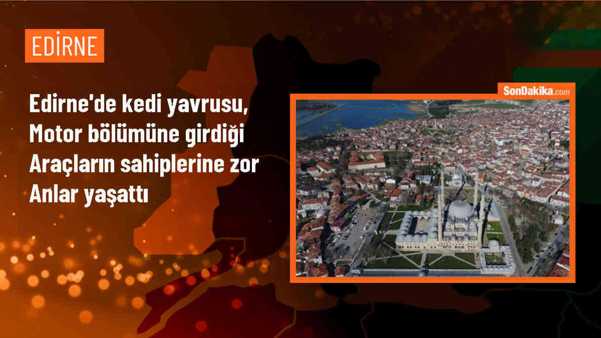 Edirne\'de Kedi Yavrusu Park Halindeki Araçlara Zor Anlar Yaşattı