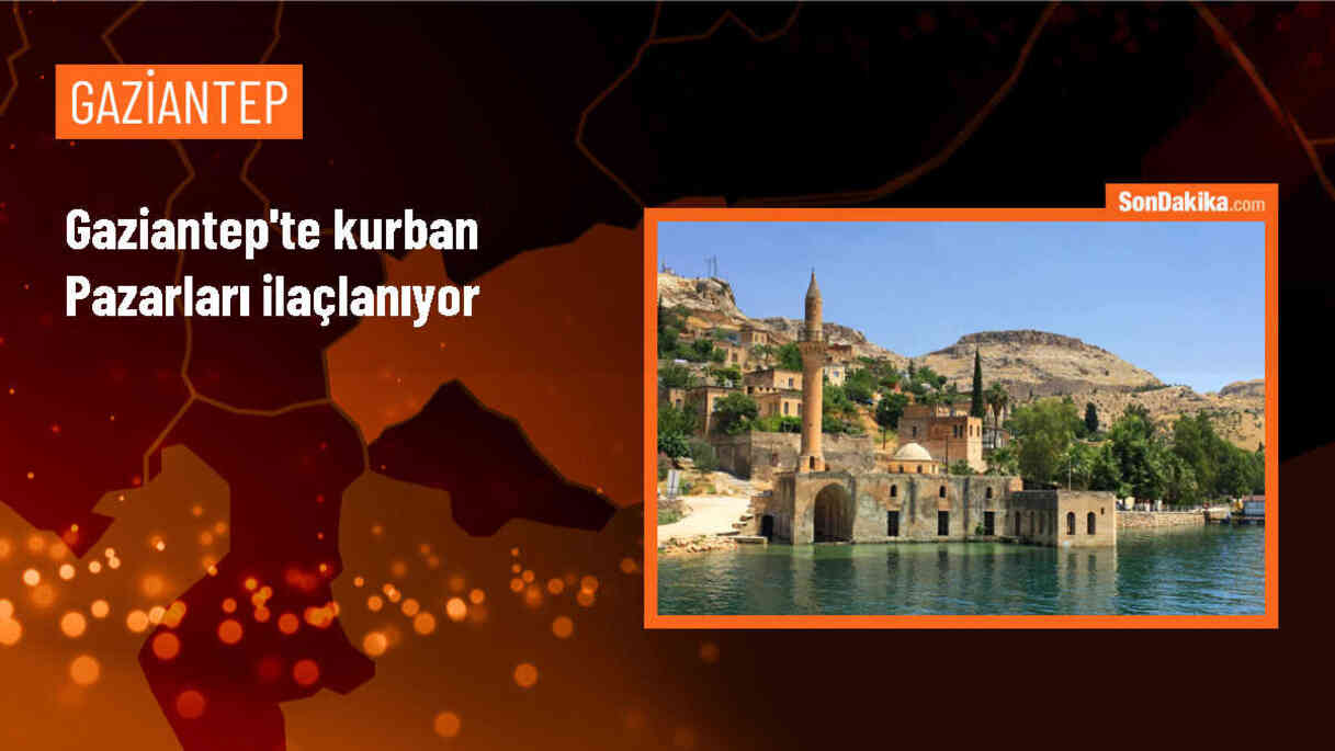 Gaziantep Büyükşehir Belediyesi Kurban Satış Noktalarında Haşarelere Karşı İlaçlama Yapıyor