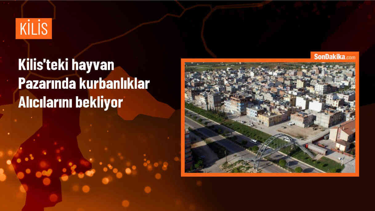 Kilis\'te Kurbanlık Satışları Başladı