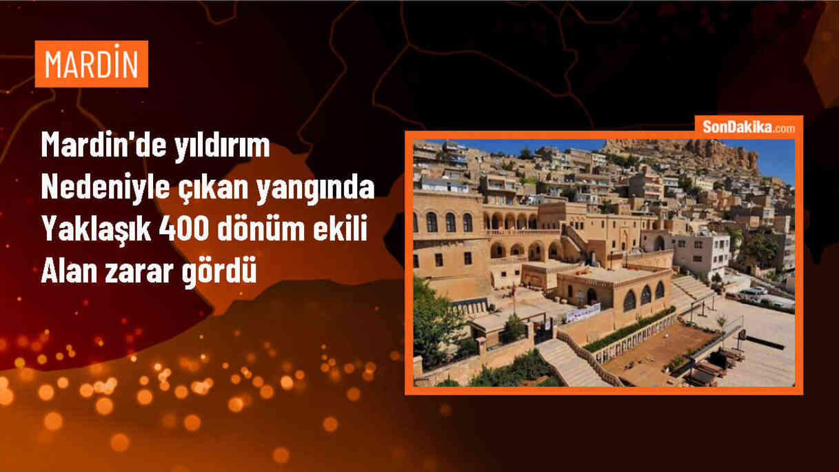 Mardin\'de yıldırım düşmesi sonucu çıkan yangında 400 dönüm buğday ekili alan zarar gördü