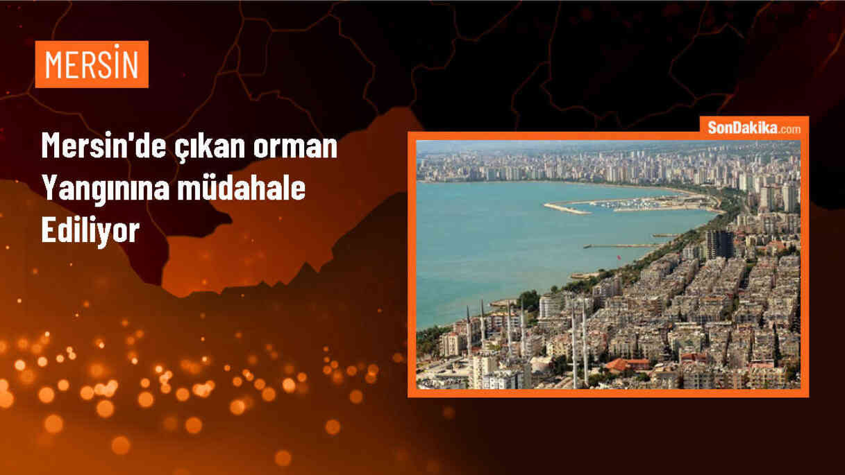 Mersin\'de Ormanlık Alanda Çıkan Yangın Kontrol Altına Alınmaya Çalışılıyor