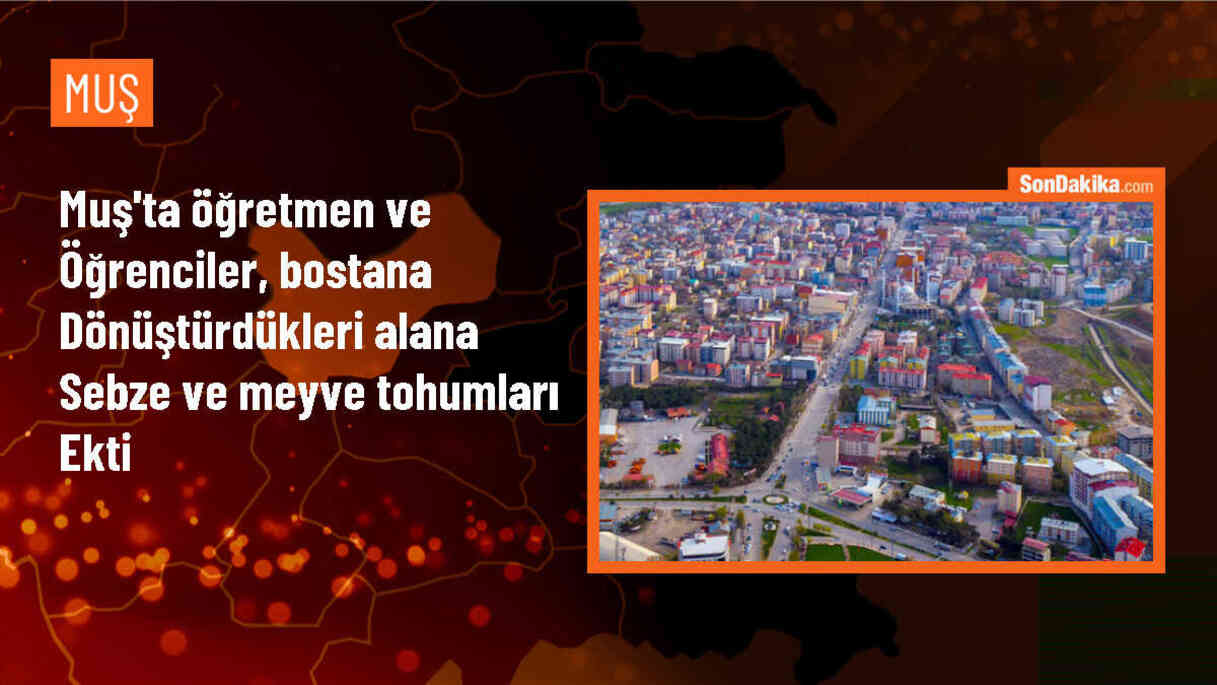 Muş\'ta öğretmen ve öğrenciler bostana dönüştürdükleri alanda organik tarım yapıyor