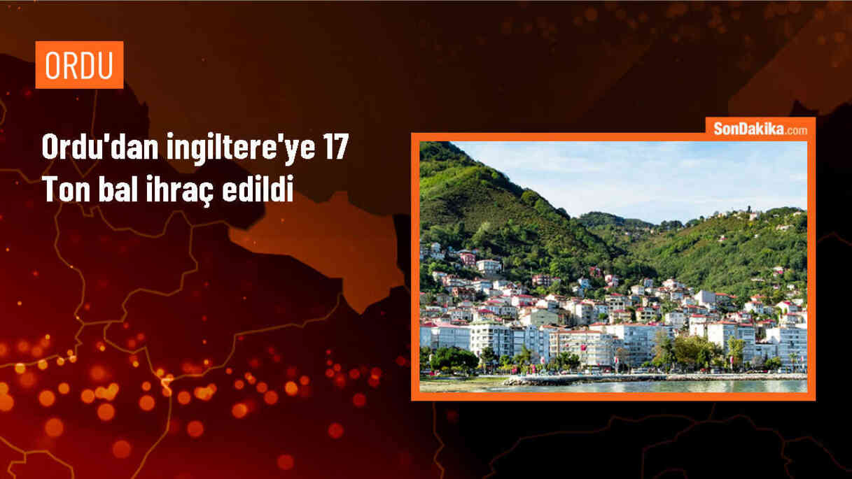 Ordu\'da Üretilen 17 Ton Bal İngiltere\'ye Gönderildi