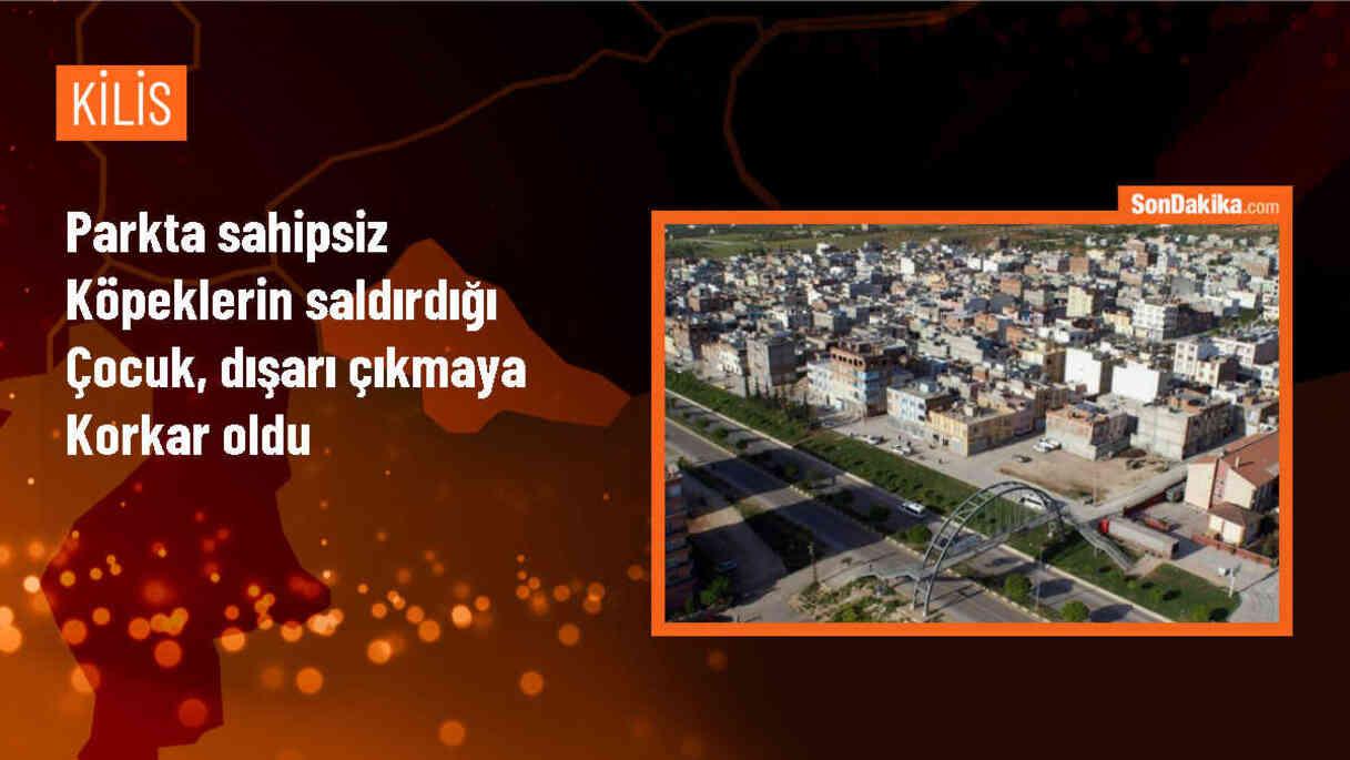 Kilis\'te sahipsiz köpeklerin saldırısı sonucu yaralanan çocuk korku içinde