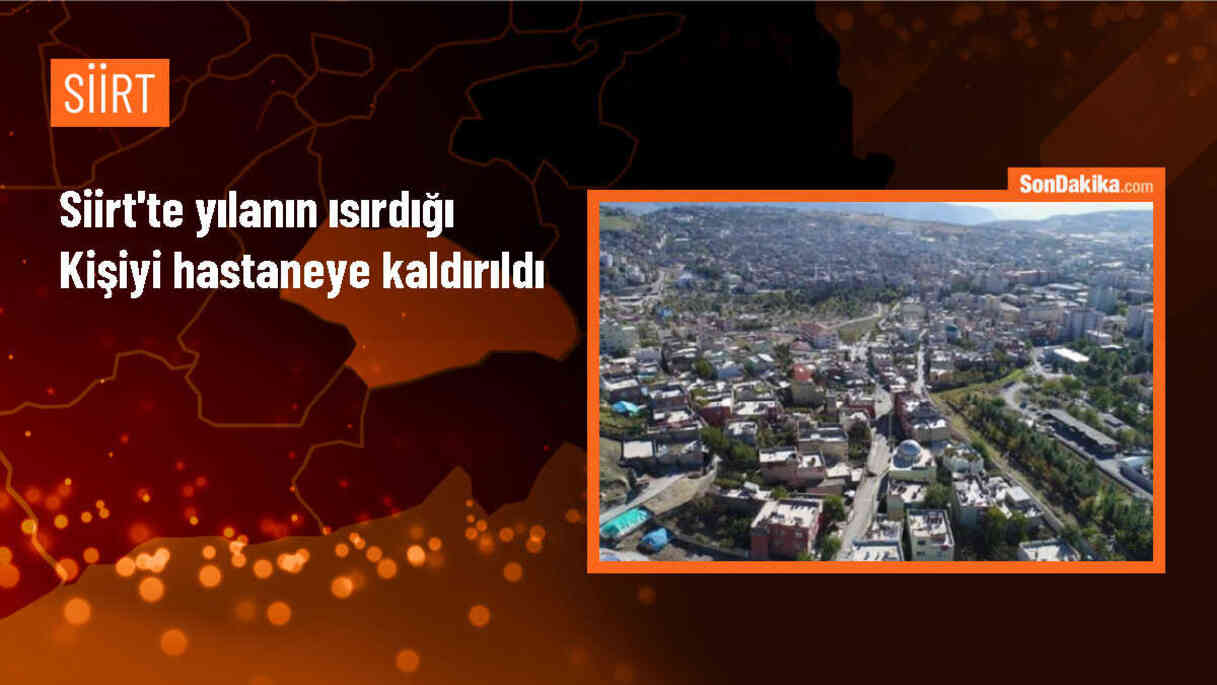 Siirt\'te tarlada çalışan kişi yılan tarafından ısırıldı