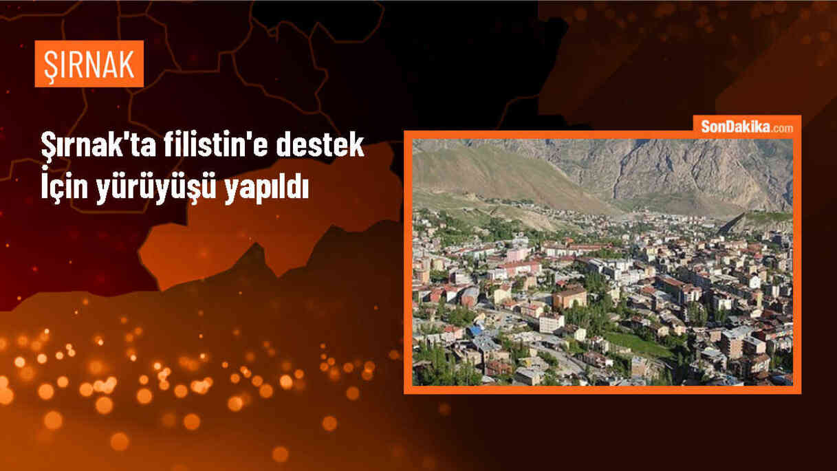 Şırnak\'ta İsrail\'in Gazze\'ye yönelik saldırılarına tepki yürüyüşü düzenlendi