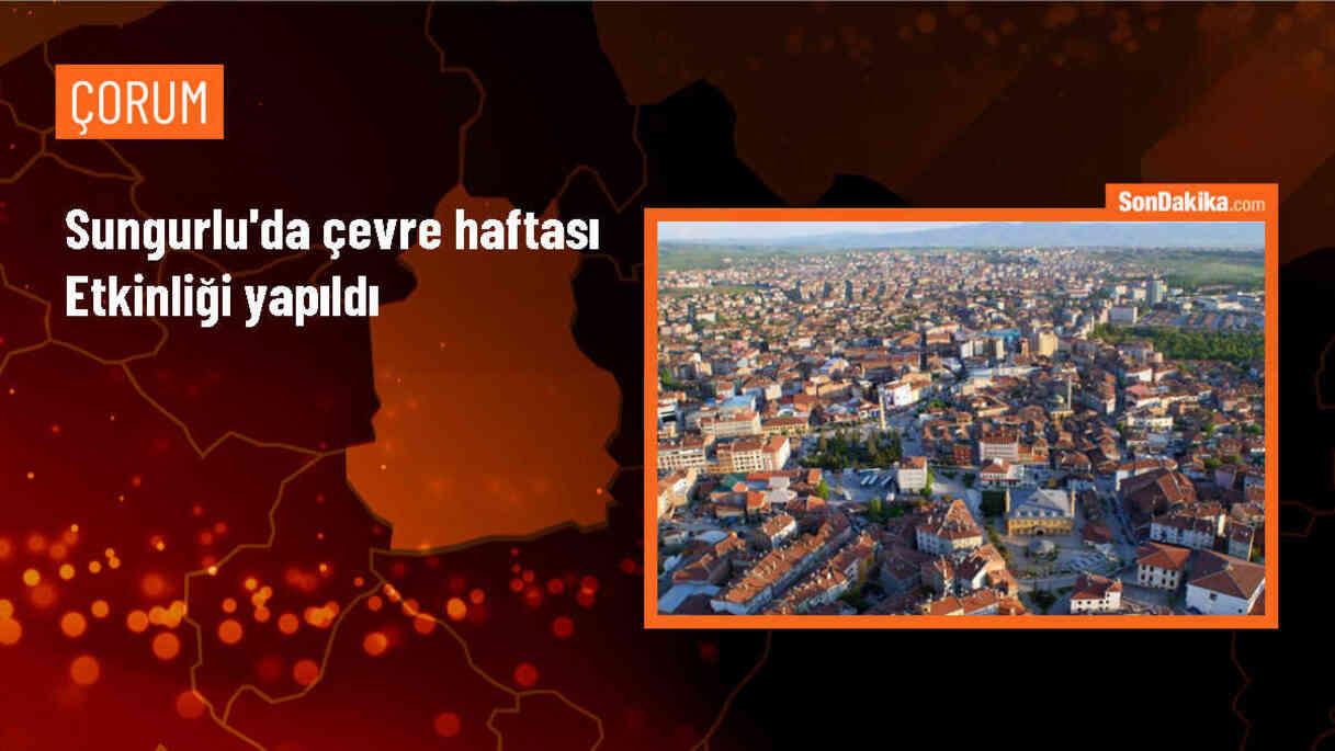 Çorum\'un Sungurlu ilçesinde çocuklar çevre temizliği yaparak yarıştı