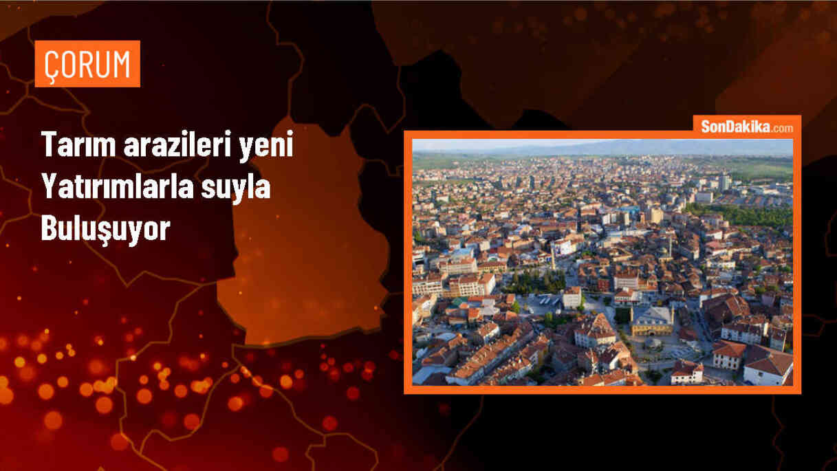 Tarım ve Orman Bakanı: Sulamaya açılan arazi miktarını 7,23 milyon hektara çıkarmayı hedefliyoruz