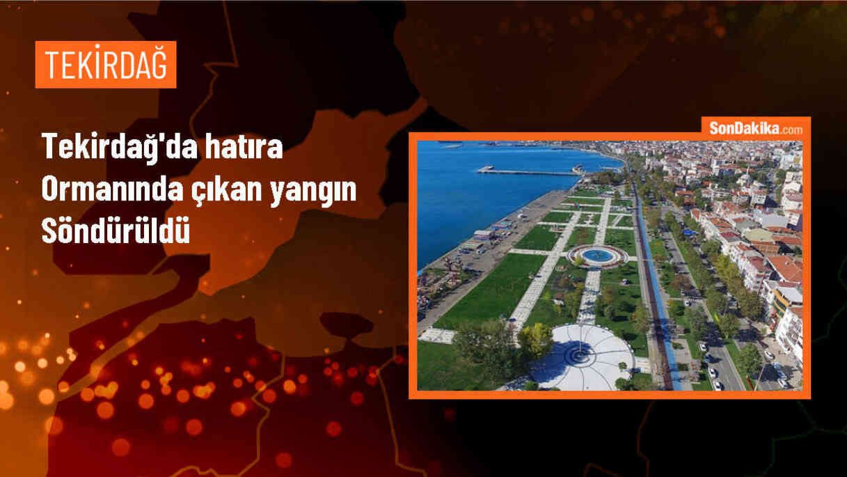 Tekirdağ\'da hatıra ormanında çıkan yangın söndürüldü