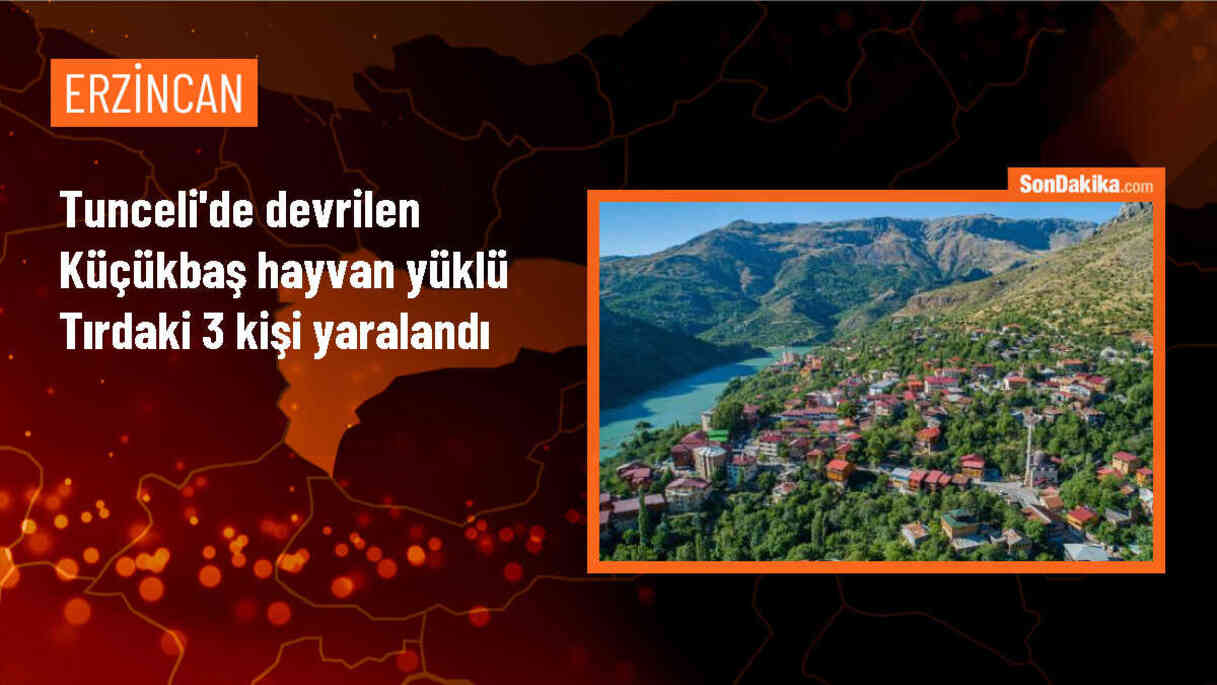 Tunceli\'de küçükbaş hayvan yüklü tır devrildi, 3 kişi yaralandı