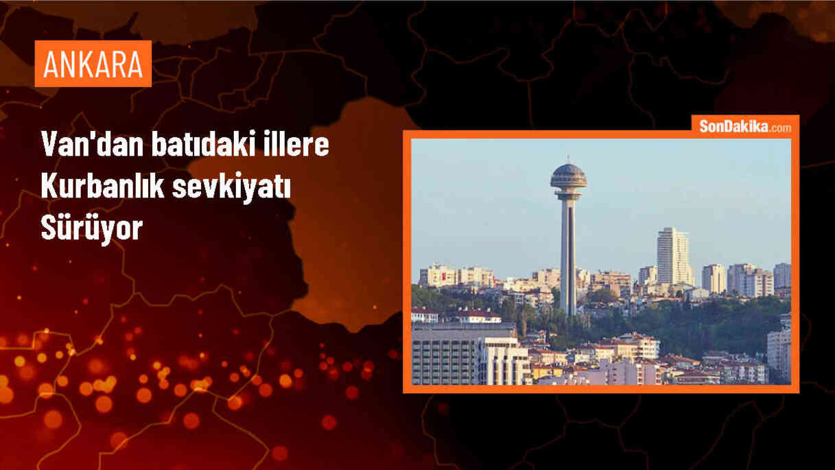 Van\'da Kurban Bayramı öncesi hayvan sevkiyatı devam ediyor