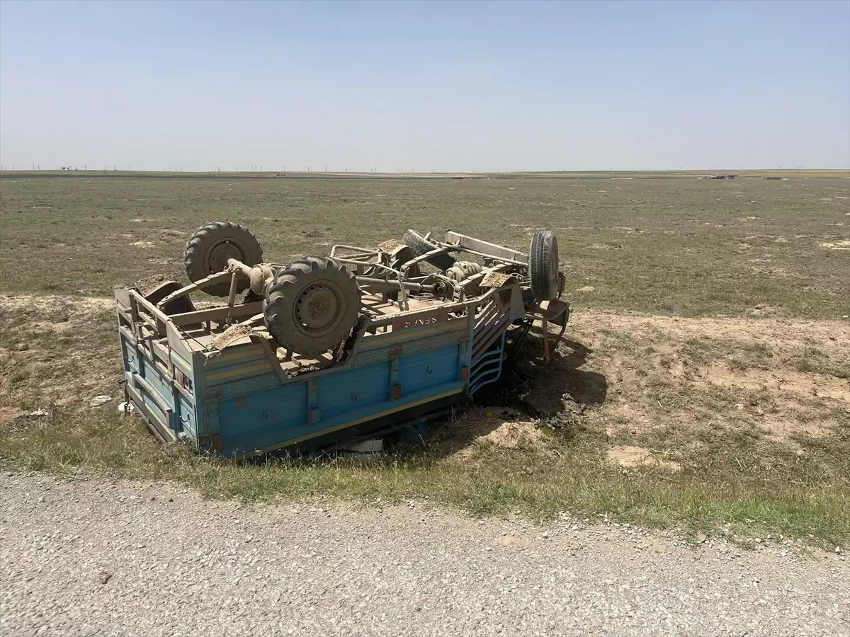 Yüksekova\'da Kuzu Ölümleri