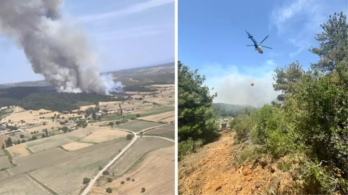 Çanakkale, Kütahya, Uşak ve Sinop\'ta orman yangını! Köylere uyarılar yapıldı