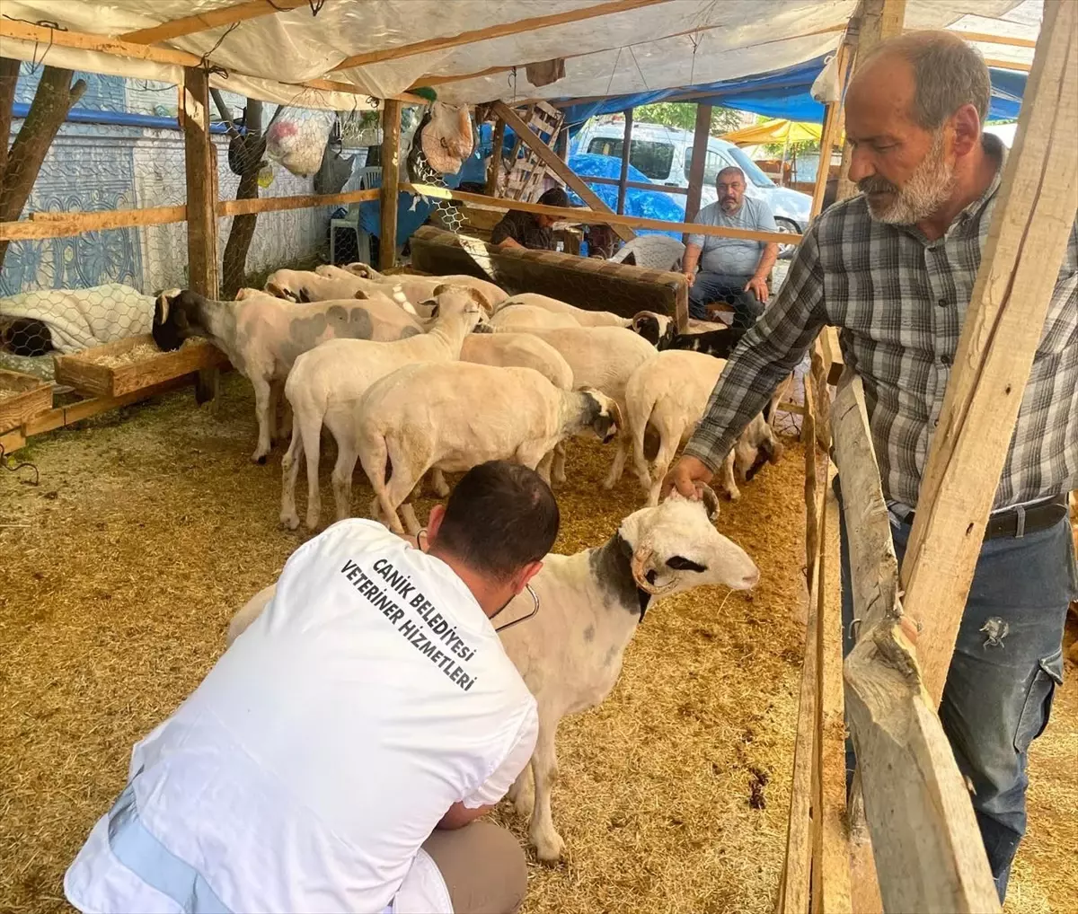 Tarihi Eserler Ereğli Müzesi'nde