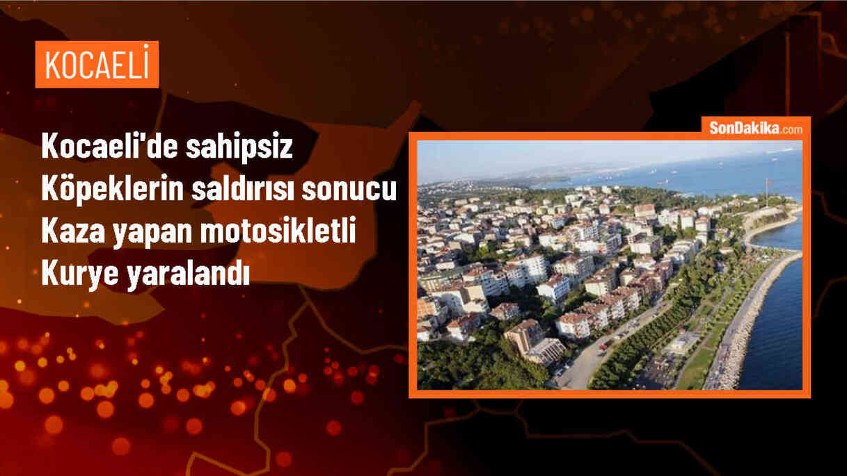 Çayırova\'da sahipsiz köpeklerin saldırısıyla motosikletli kurye yaralandı