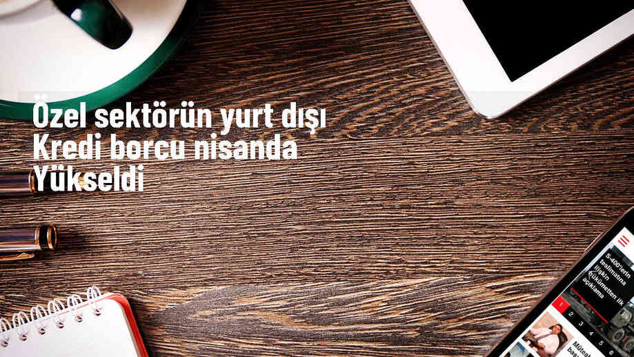 Özel Sektörün Yurt Dışı Kredi Borcu 165,1 Milyar Dolara Yükseldi