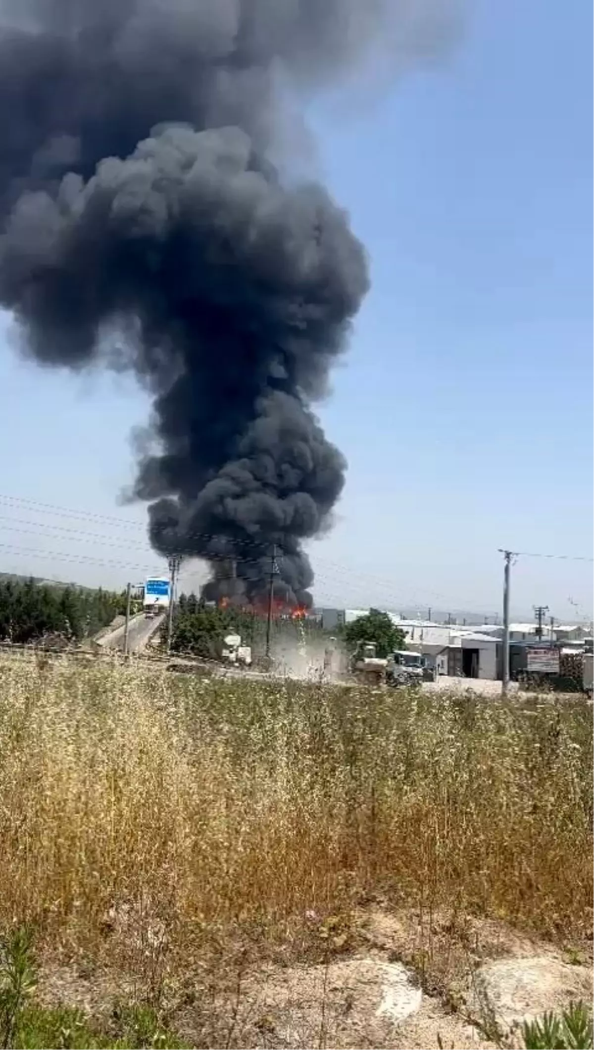 Tarihi Evleri Defineciler Talan Ediyor