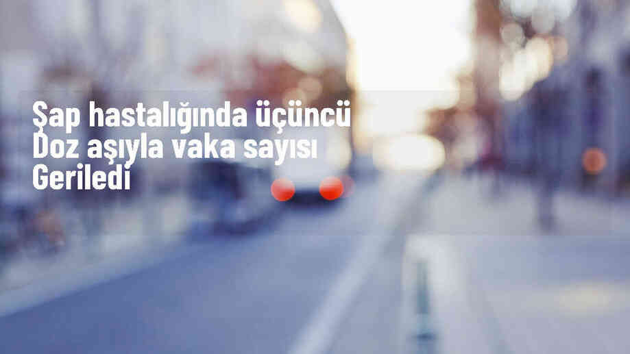 Şap Hastalığına Karşı Aşılama Sayısı Artırıldı, Vaka Sayısında Yüzde 53 Azalma