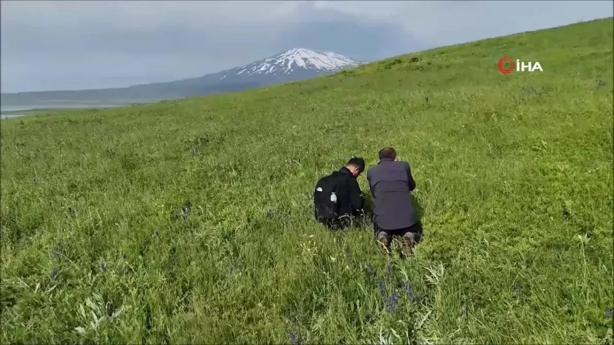 2006 Kayıt Dışı Ekonomiyle Mücadelede Milat Oldu