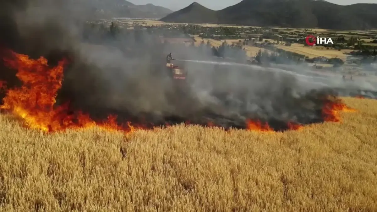 Fındık Bahçesinde İlaçlama Yapan Kadın Zehirlendi