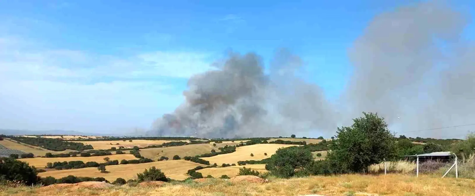 Ayşe Kulin, TRT'yi Rekor Tazminata Mahkûm Ettirdi