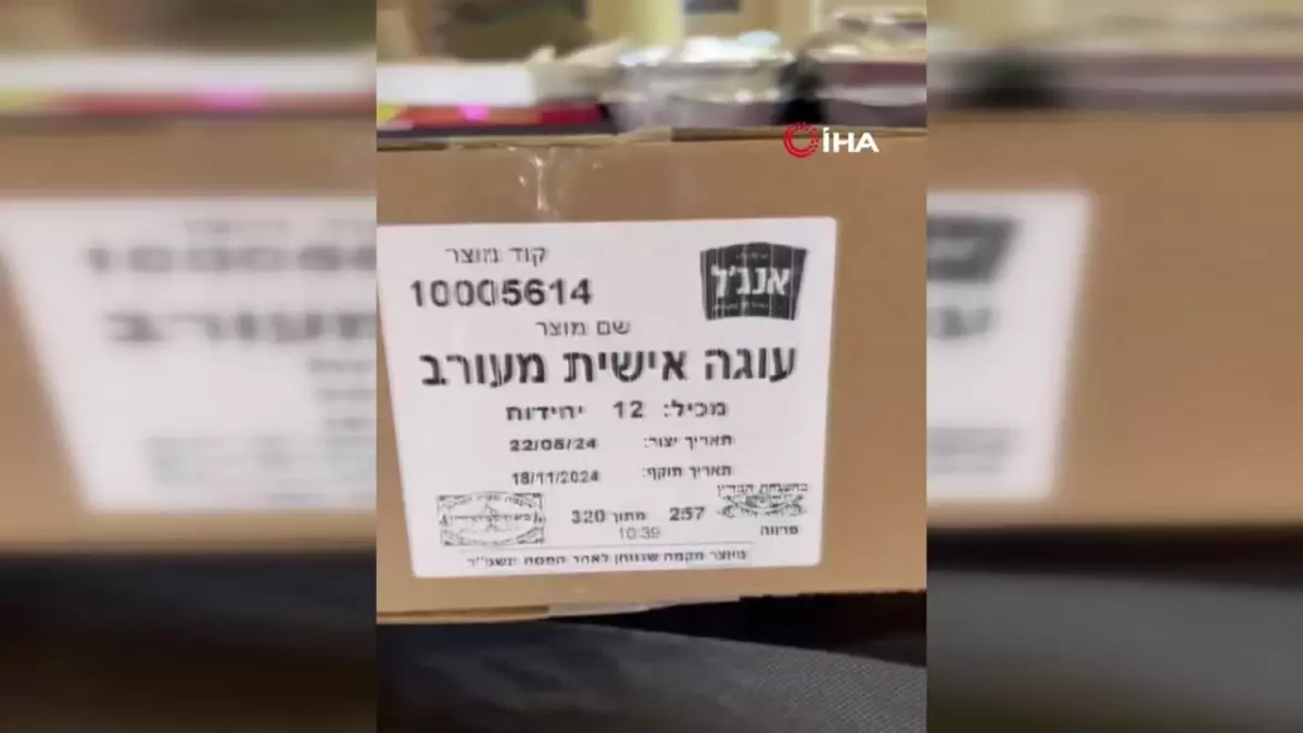 Dinazorlar ile Kuşlar Arasındaki Evrim Bağı