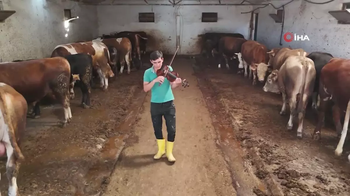 Hidayet\'li Orlando Detroıt\'e Deplasmanda Mağlup Oldu