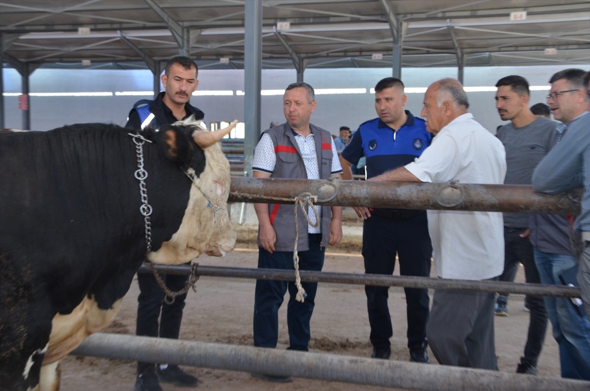 Niğde\'de Hayvan Pazarı Denetlendi