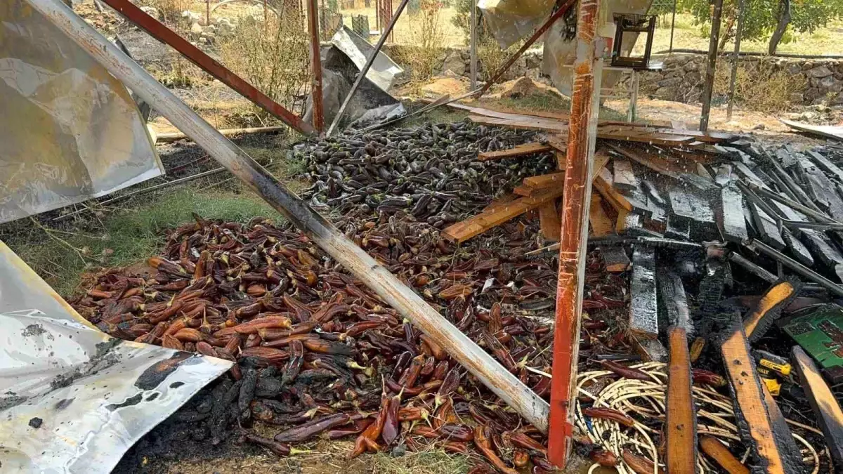 ABD\'den Kuzey Irak Operasyonu Yorumu