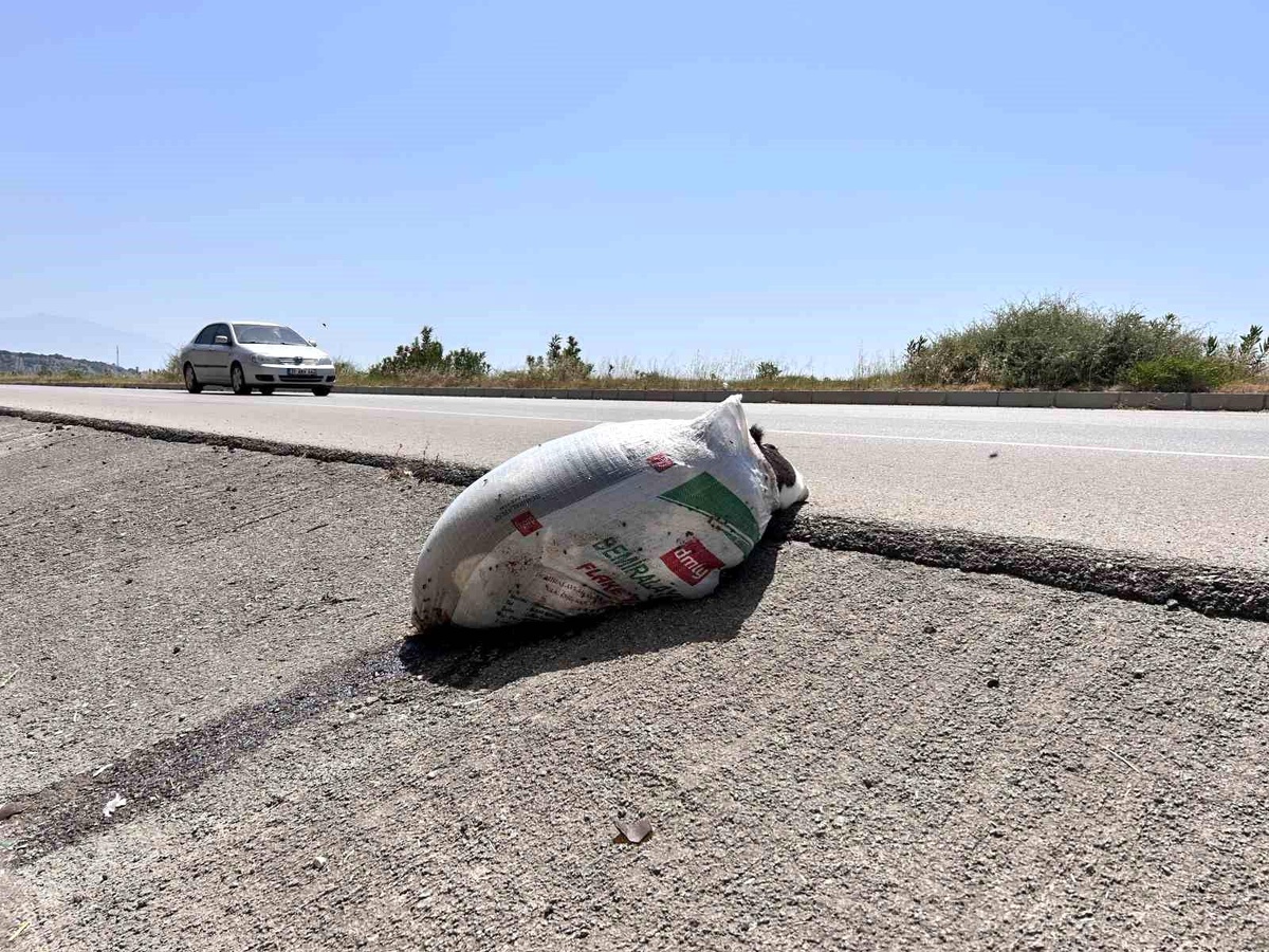 Eskişehir'de Trafik Kazaları: 1 Ölü, 1 Yaralı
