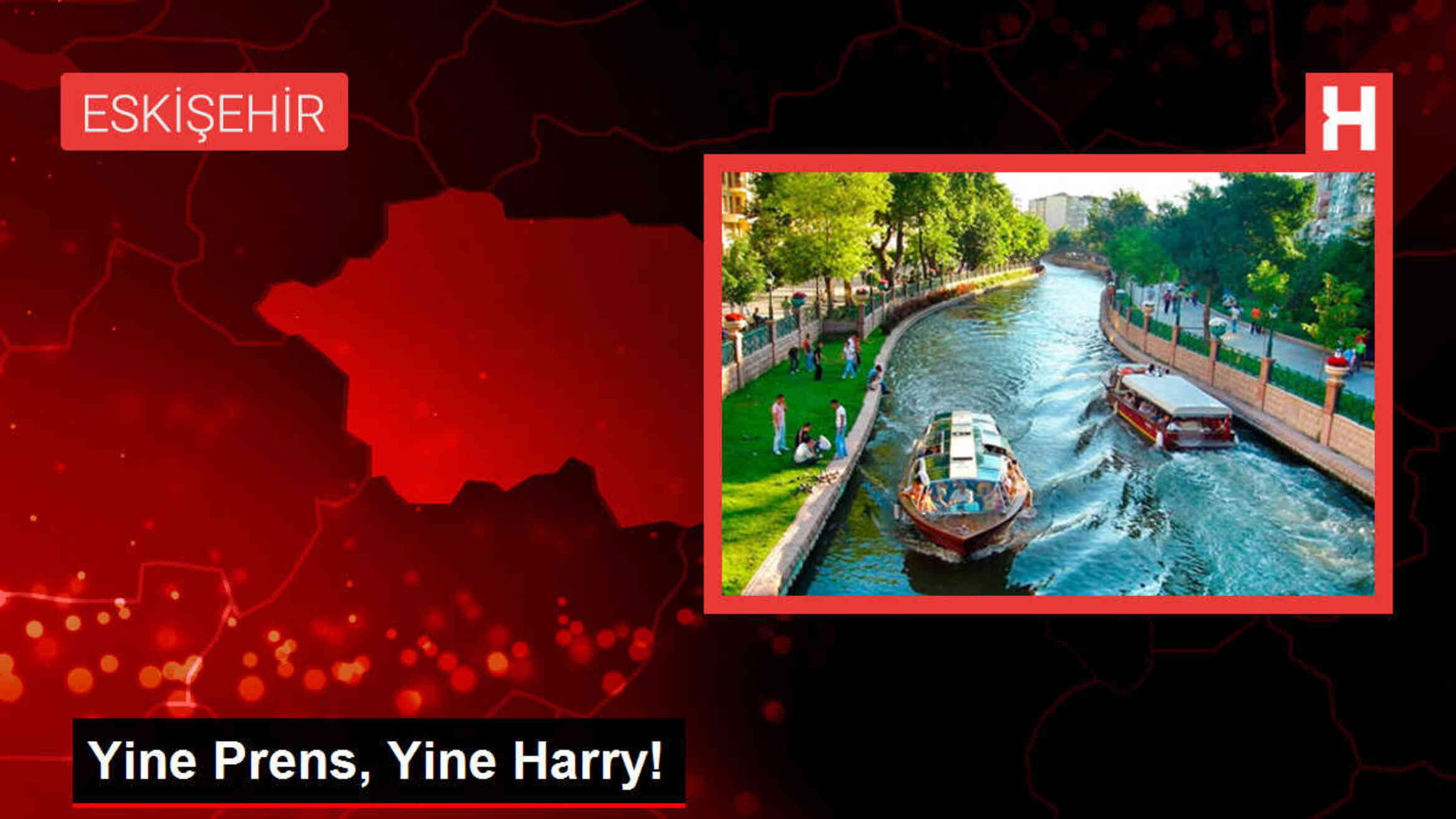 Yine Prens, Yine Harry!