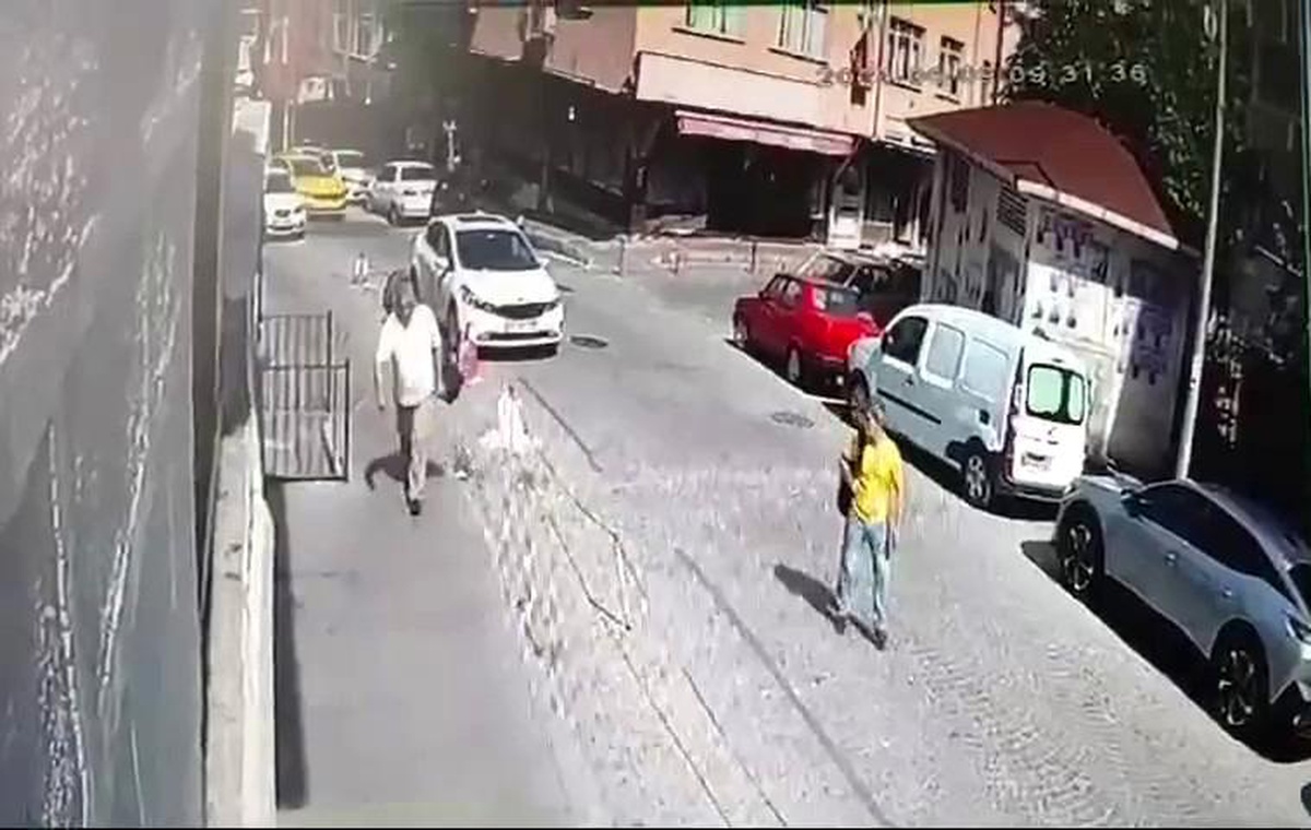 Hamster'dan Alınan Enzim Boyunu Uzattı