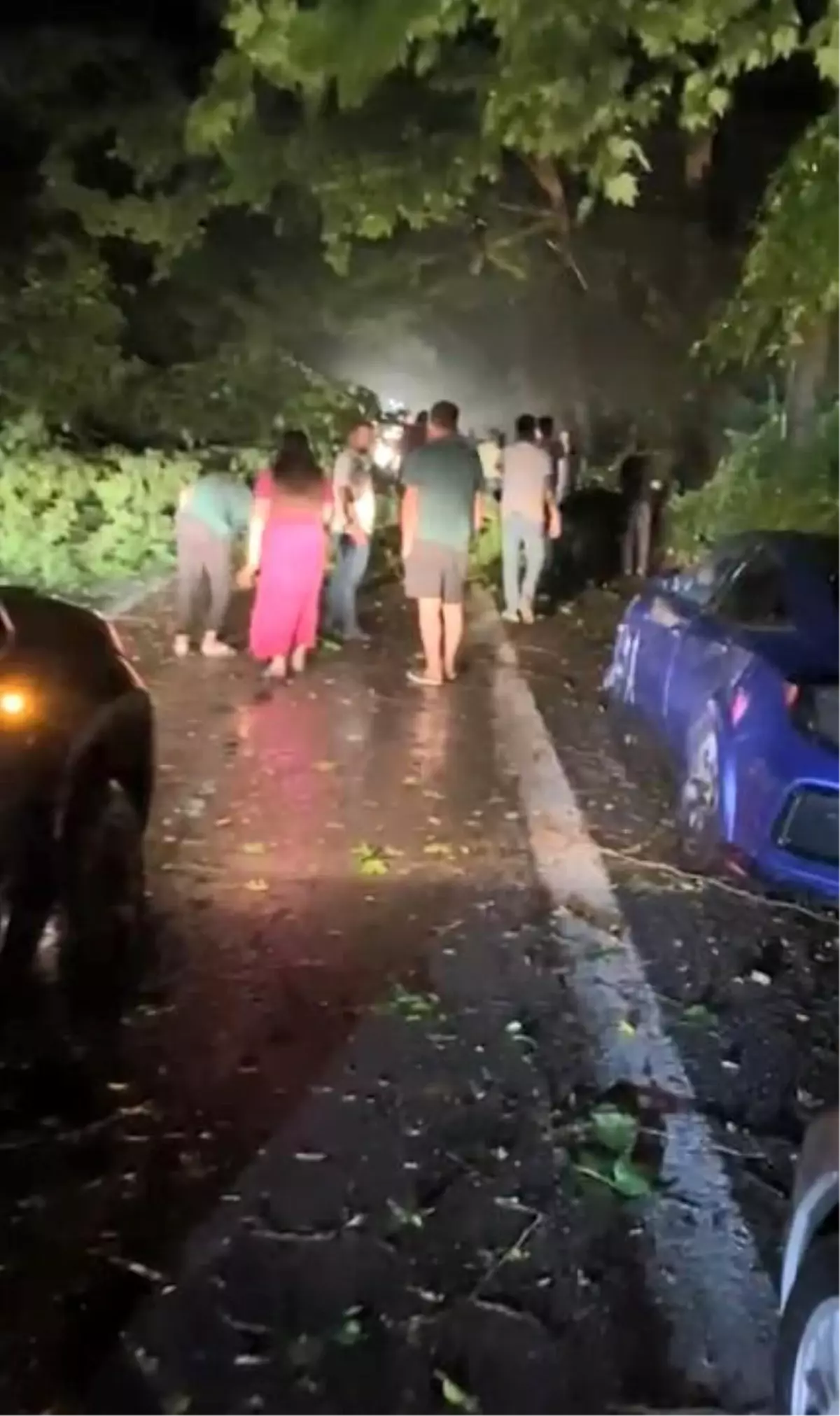 Nicole\'e Anavatanından Ödül