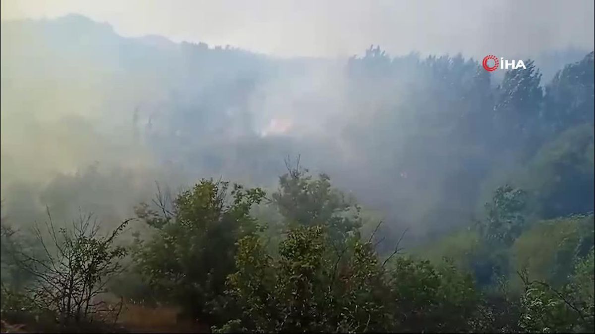 Eskişehir'de Karbonmonoksit Zehirlenmesi