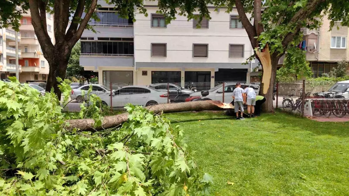 50 Milyon Doları Yatırdık, KKTC\'nin İlk Uluslararası Oteline İmza Attık