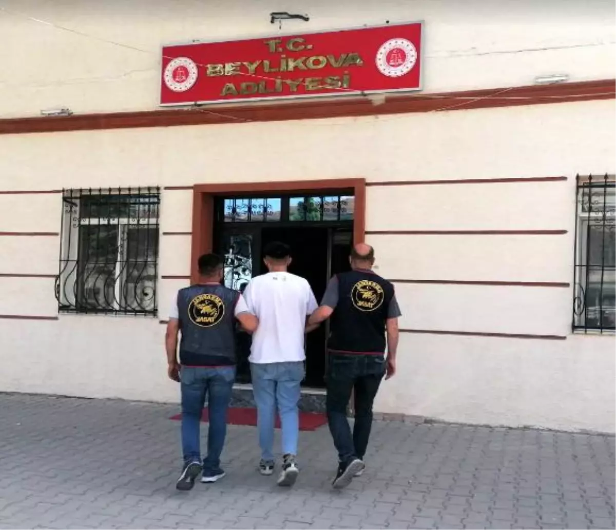 TMO, İthal Ettiği Mısır ve Buğdayı Satışa Çıkardı