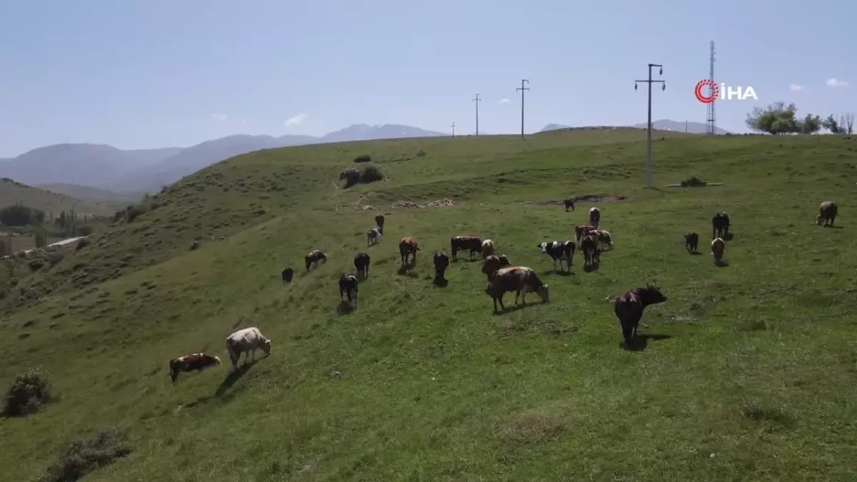 Kırıkkale\'de Elektrik Kesintisi