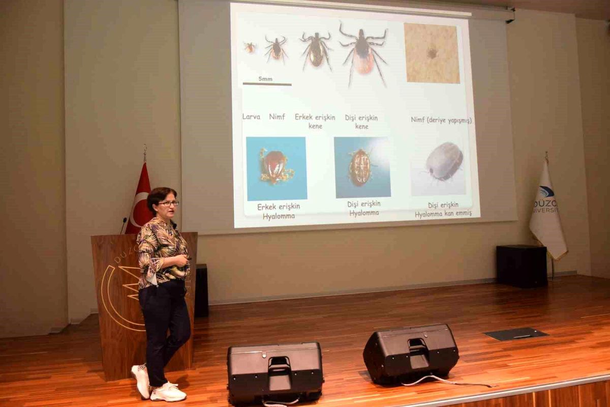 Mersin'de Kaçak Akaryakıt Operasyonu