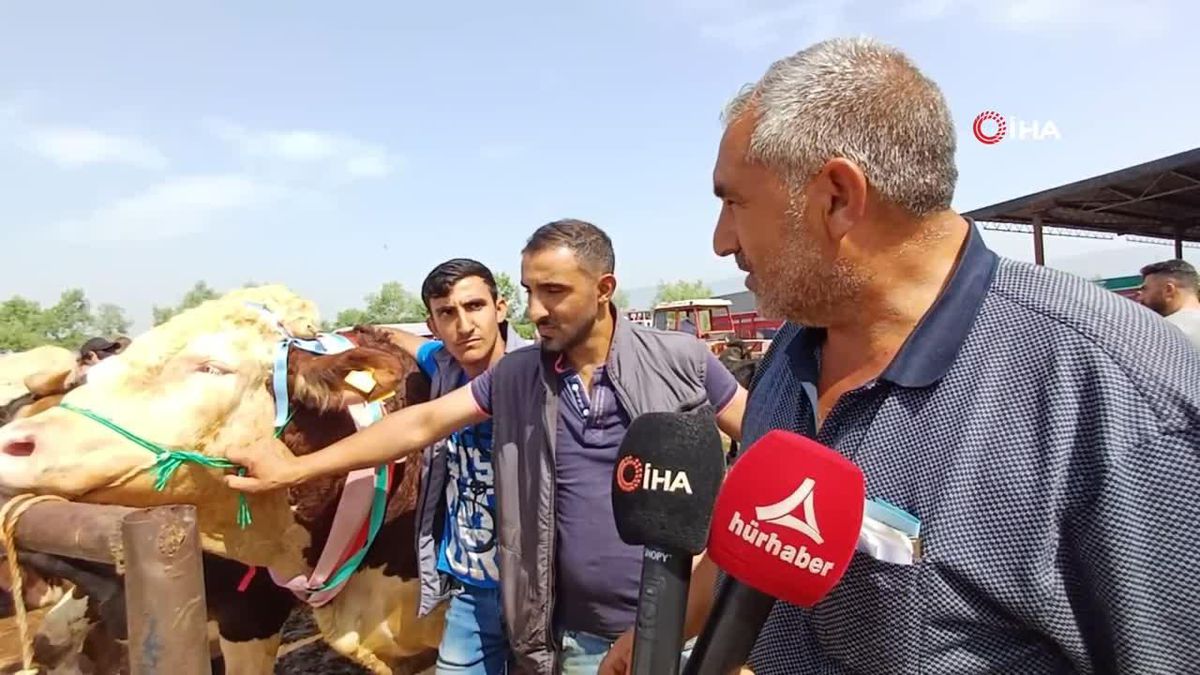 Tema Kırıkkale'de 13 Bin Fidan Dikti