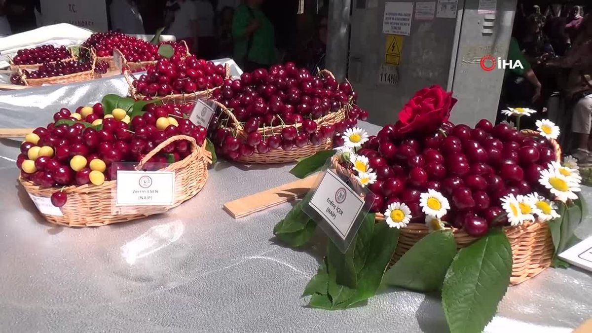 Hizan'da Kavga: 1 Yaralı