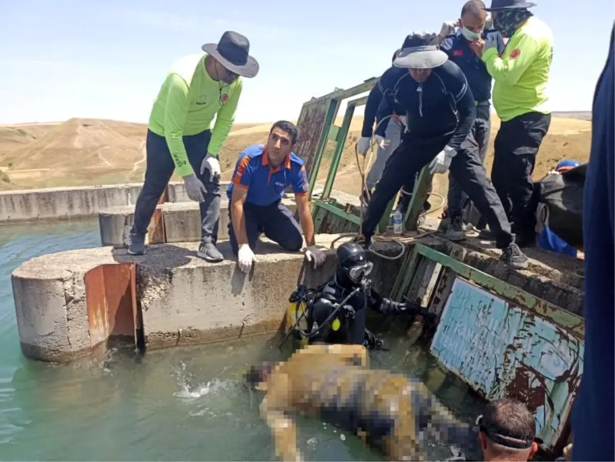 Hatalı Sollama Yapan Otomobil Kamyona Çarptı: 3 Yaralı