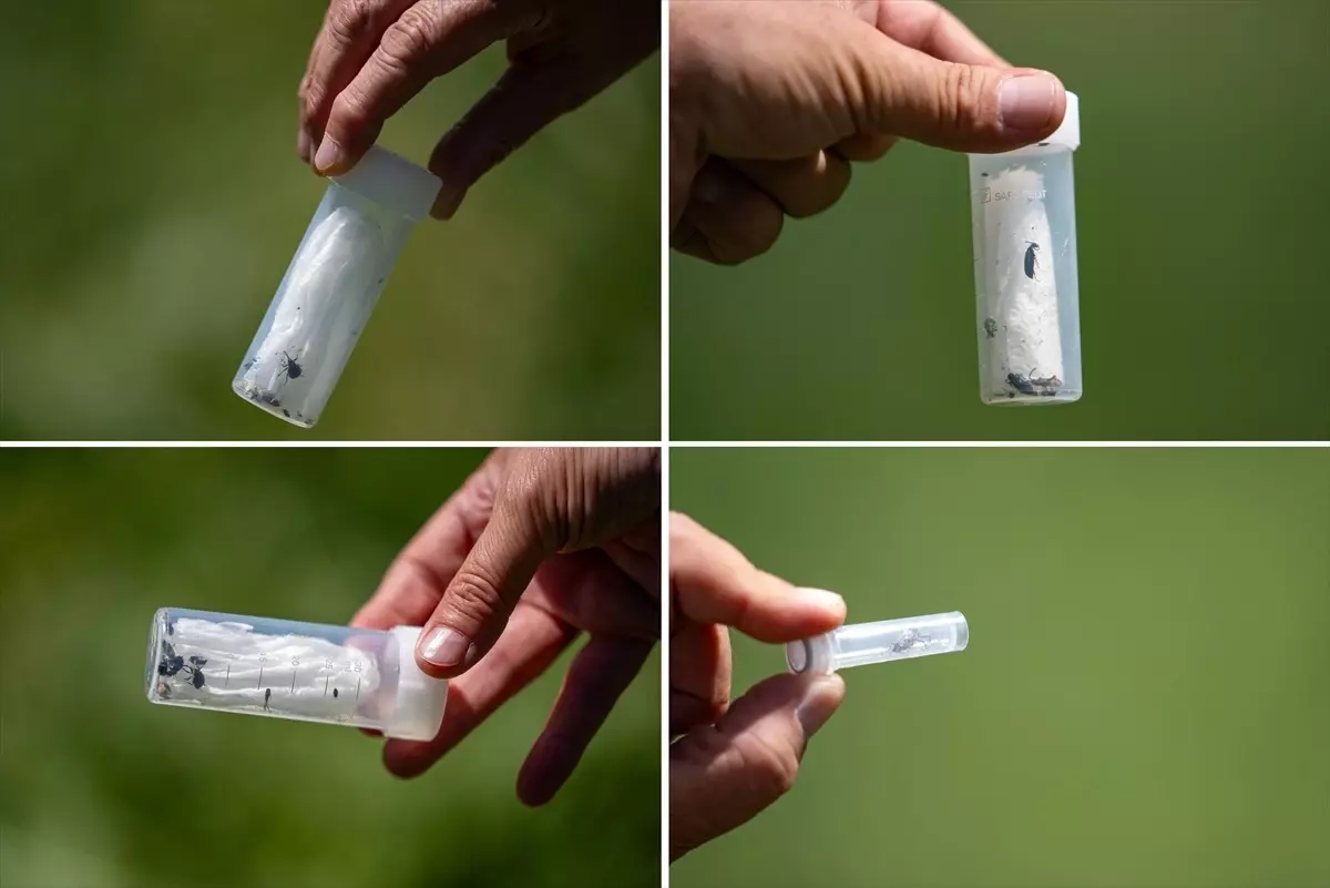 İskenderun\'da Emre Aydın Konseri