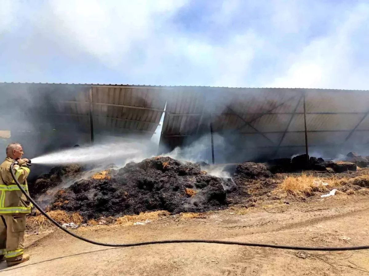 İbo Seda Buluşuyor