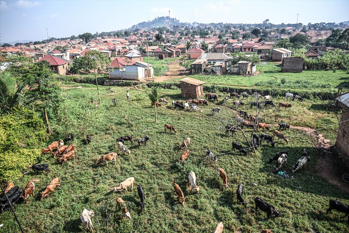AB Gıda Katkı Maddesini İnceliyor