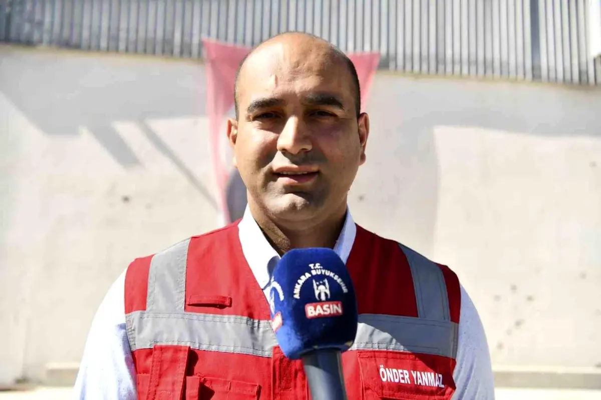 Saç Boyası Zararlarına Bitkisel Çözüm