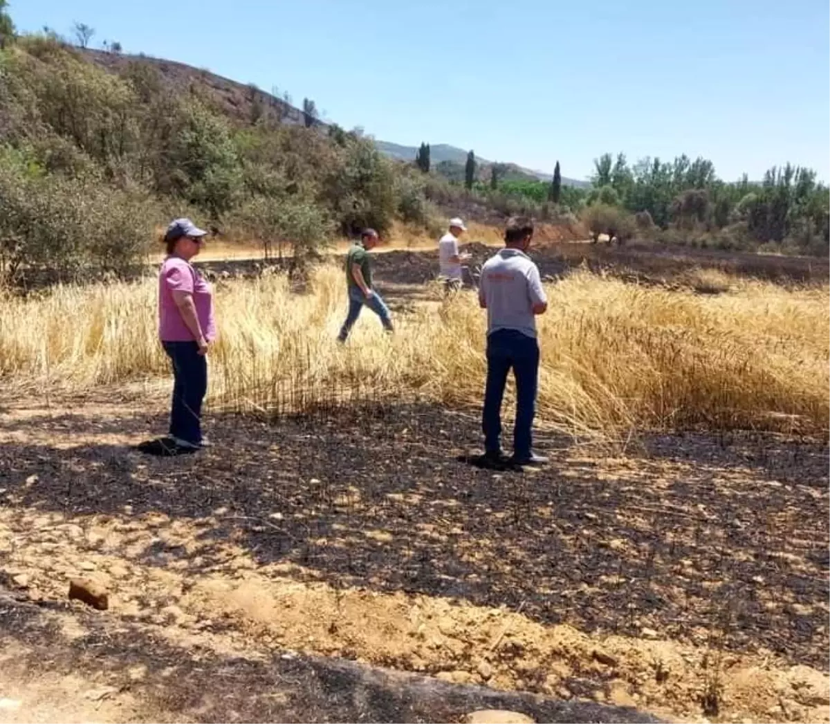 Antalya\'da Yerel Yönetimler