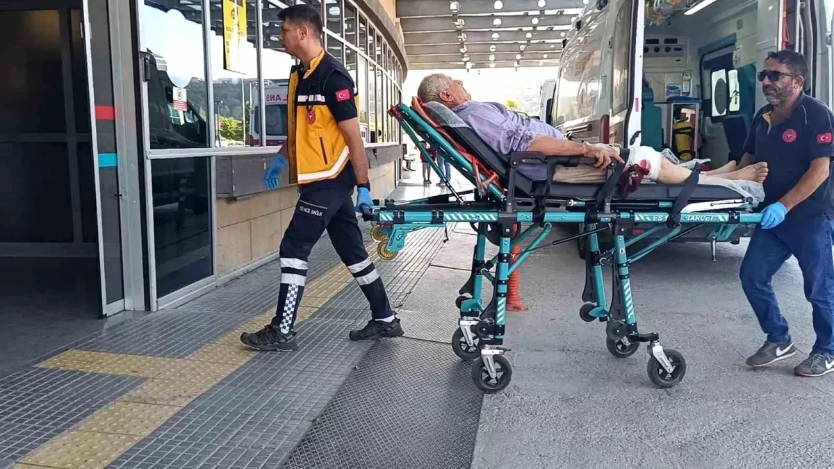 Cizre\'de Kurslara Büyük İlgi