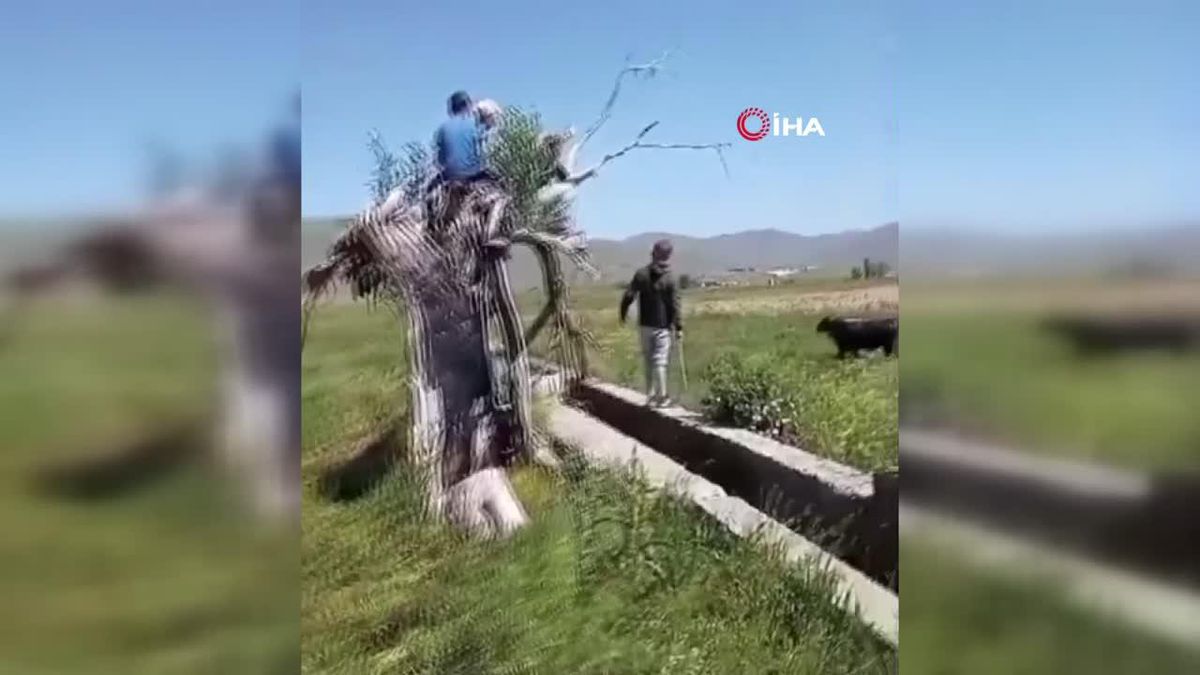 Kuru Otları Tutuştururken, 3 Hektarlık Bitki Örtüsünün Yanmasına Sebep Oldu